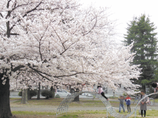 DSCN0554L.gif