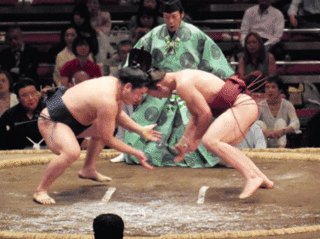 DSCN1097L.gif