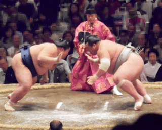 DSCN1153L.gif