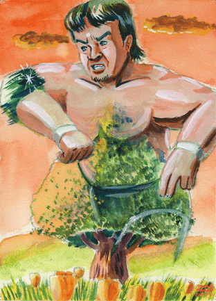 Midori-no-Hito-S.gif