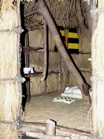 P1020679*.jpg