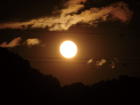 P1040411-.gif