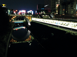 P1040753-.gif